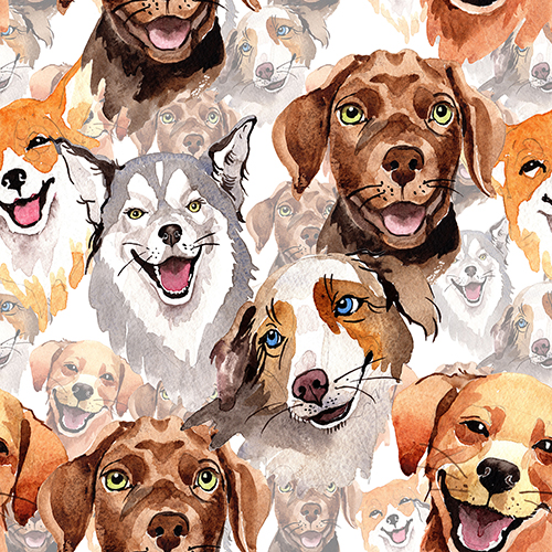Pattern featuring various dog heads including Husky, Labrador, Beagle, and other breeds on a white background. Suitable for decoration and design.