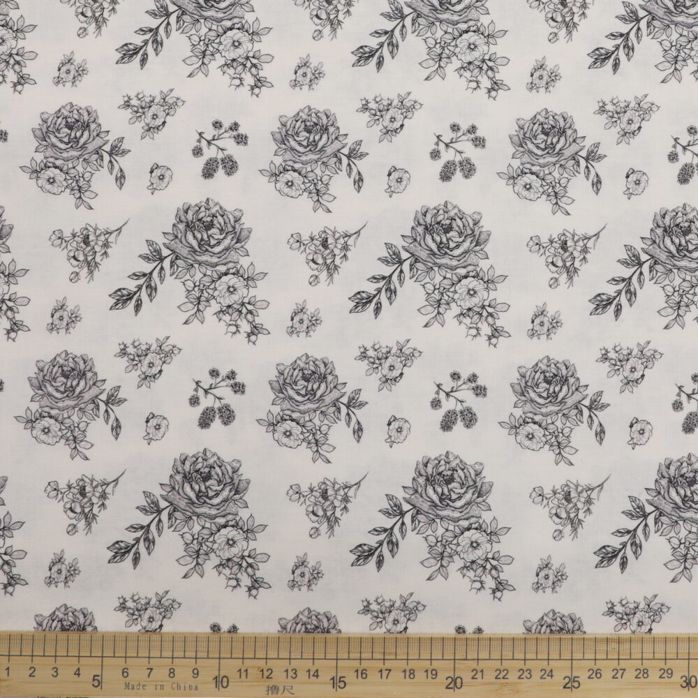 HLC241210 5A 1